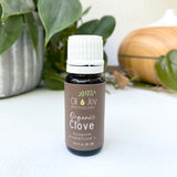 Clove Bud Essential Oil, Organic