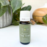 Tea Tree Essential Oil, Organic