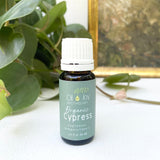 Cypress Essential Oil, Organic