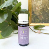 Lavender Essential Oil, Organic
