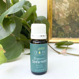 Bottle of Organic Spearmint essential oil by Oil of Joy Apothecary on a white surface with green leaves in the background.