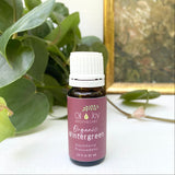 Bottle of Organic Wintergreen essential oil with a plant in the background