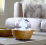 Hand Blown Glass & Wood Diffuser