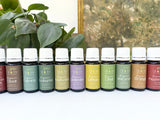 Cinnamon Essential Oil, Organic