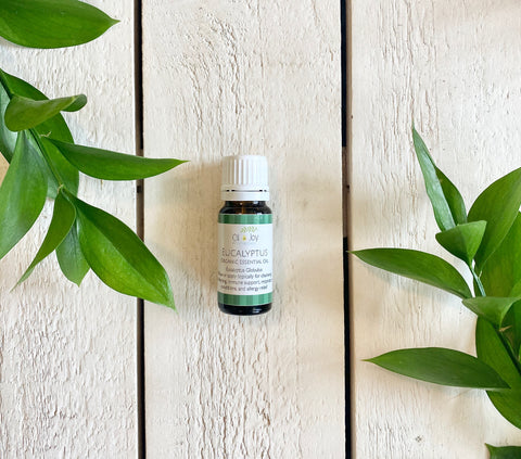 Eucalyptus Essential Oil