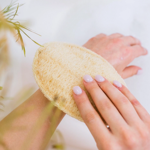 Exfoliating Loofah Sponge