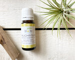 Helichrysum Essential Oil