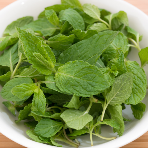 Organic Dried Spearmint